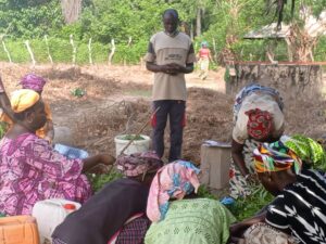 Ziguinchor-Nyassia : L’ONG 3D impulse un modèle agricole durable pour les productrices